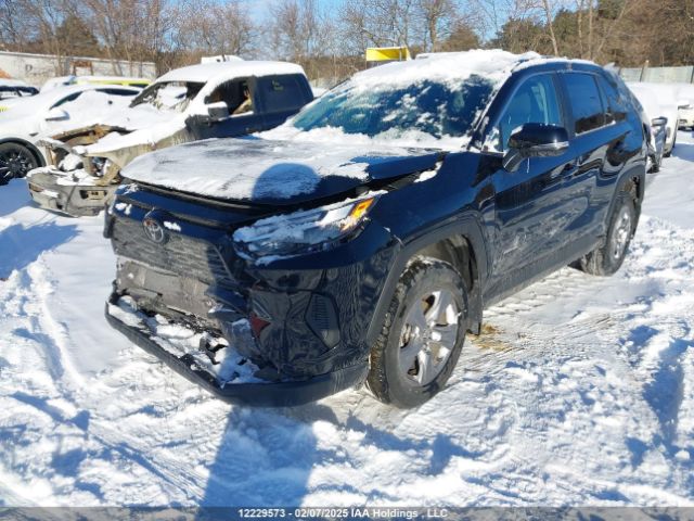 2T3R1RFV4PC387249 2023 TOYOTA