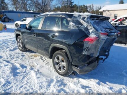 2T3R1RFV4PC387249 2023 TOYOTA