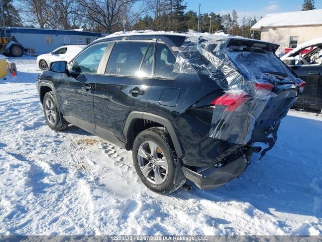2T3R1RFV4PC387249 2023 TOYOTA