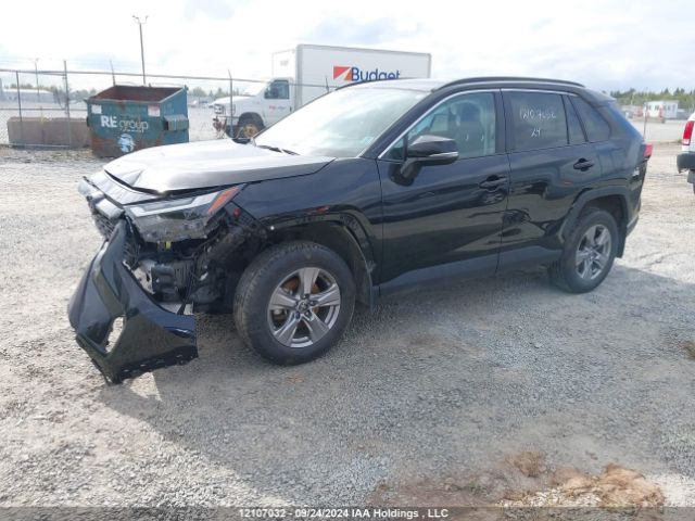 2T3R1RFV4RC398433 2024 TOYOTA