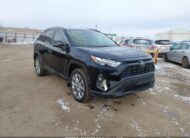 2T3R1RFV7PC329524 2023 TOYOTA