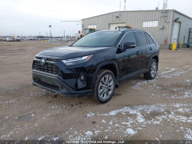 2T3R1RFV7PC329524 2023 TOYOTA