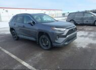 2T3R1RFV8RC400409 2024 TOYOTA