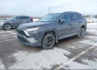 2T3R1RFV8RC400409 2024 TOYOTA