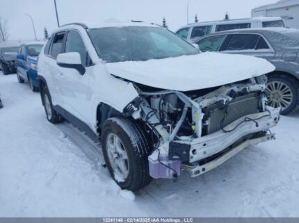 2T3RWRFV8RW229354 2024 TOYOTA