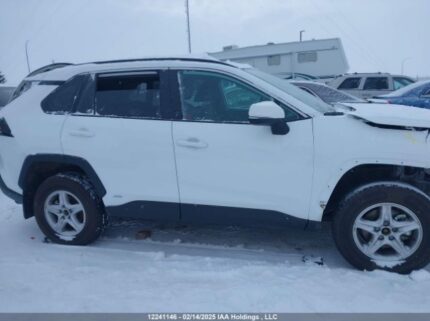 2T3RWRFV8RW229354 2024 TOYOTA