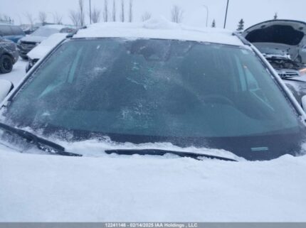 2T3RWRFV8RW229354 2024 TOYOTA