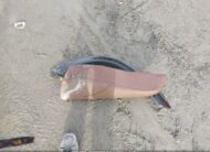 4JGFB4GB3RB090941 2024 MERCEDES-BENZ