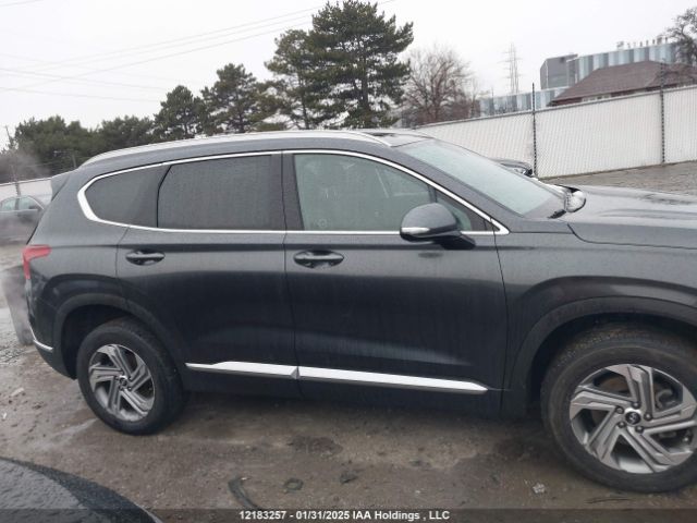 5NMS3DAJ8PH567145 2023 HYUNDAI