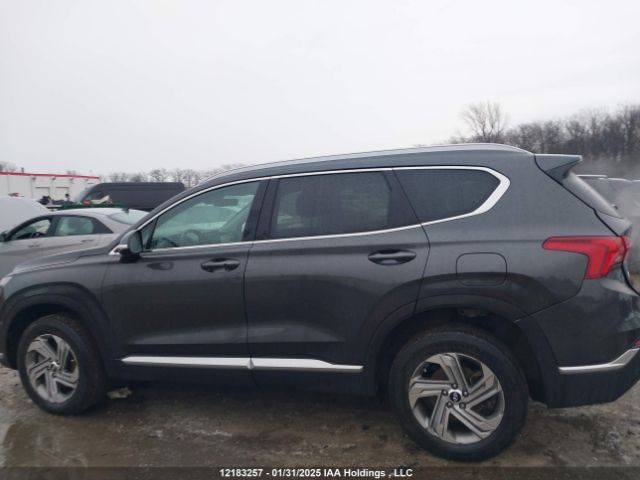 5NMS3DAJ8PH567145 2023 HYUNDAI