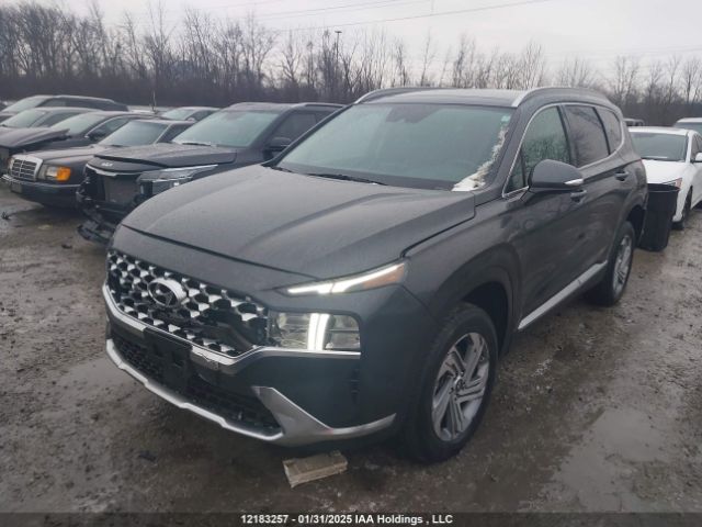 5NMS3DAJ8PH567145 2023 HYUNDAI