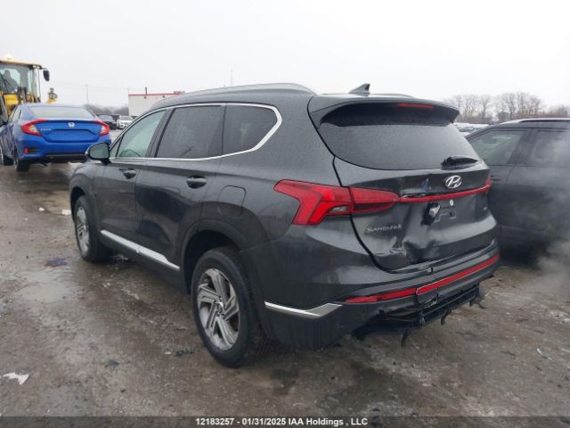 5NMS3DAJ8PH567145 2023 HYUNDAI