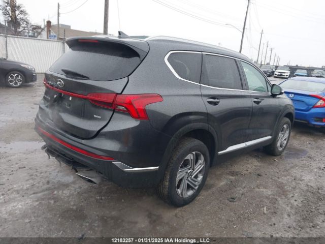 5NMS3DAJ8PH567145 2023 HYUNDAI