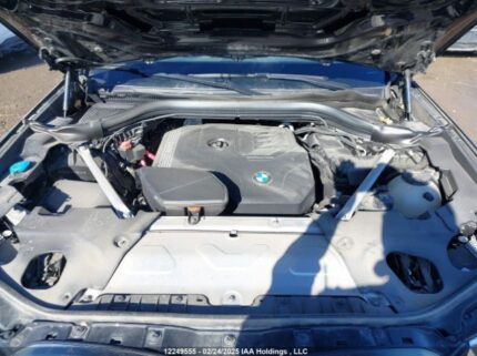 5UX53DP0XN9J81393 2022 BMW