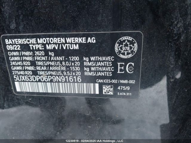 5UX63DP06P9N91616 2023 BMW