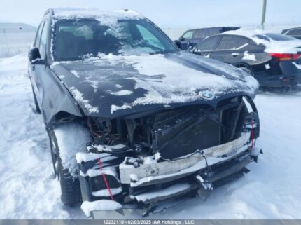 5UXCX6C11M9F96271 2021 BMW