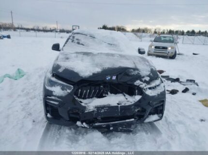 5UXCY6C09L9B79922 2020 BMW