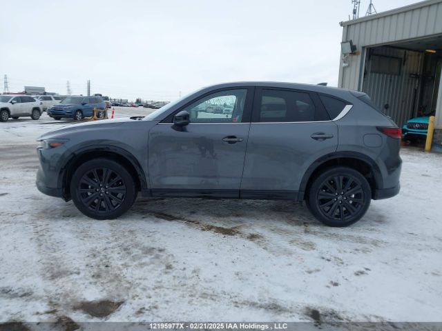 JM3KFBDM8P0227955 2023 MAZDA