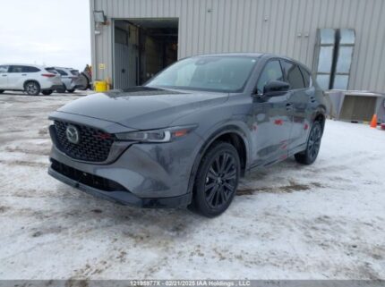 JM3KFBDM8P0227955 2023 MAZDA