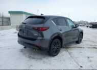JM3KFBDM8P0227955 2023 MAZDA