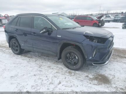 JTMGB3FVXRD231281 2024 TOYOTA