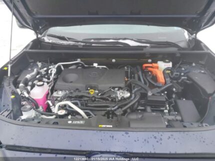 JTMGB3FVXRD231281 2024 TOYOTA