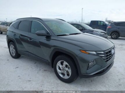 KM8JBCAE3PU196055 2023 HYUNDAI