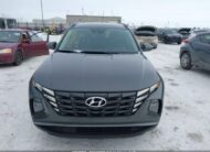 KM8JBCAE3PU196055 2023 HYUNDAI