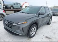 KM8JBCAE3PU196055 2023 HYUNDAI