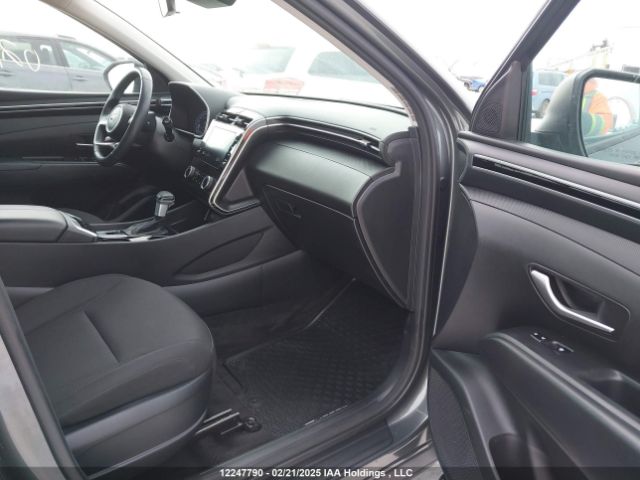 KM8JBCAE3PU196055 2023 HYUNDAI