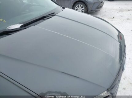 KM8JBCAE3PU196055 2023 HYUNDAI