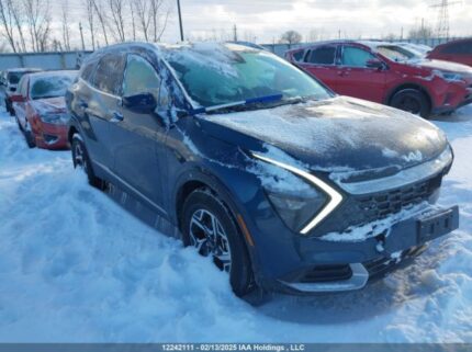 KNDPUCDF7R7282001 2024 KIA