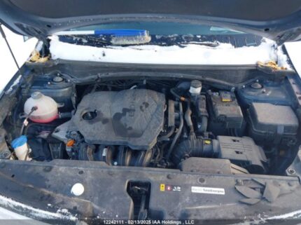 KNDPUCDF7R7282001 2024 KIA