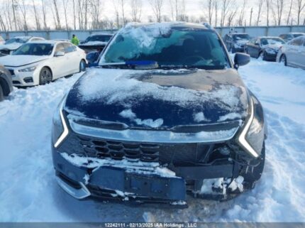 KNDPUCDF7R7282001 2024 KIA