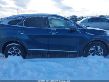 KNDPUCDF7R7282001 2024 KIA