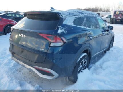 KNDPUCDF7R7282001 2024 KIA