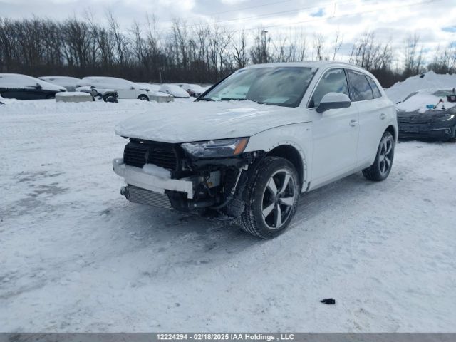 WA1EAAFY9R2061400 2024 AUDI
