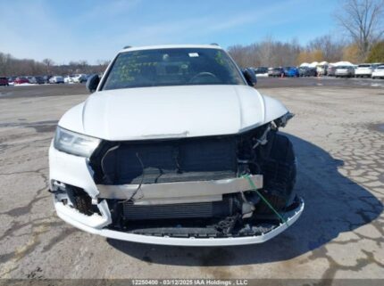 WA1ENAFY8K2029497 2019 AUDI
