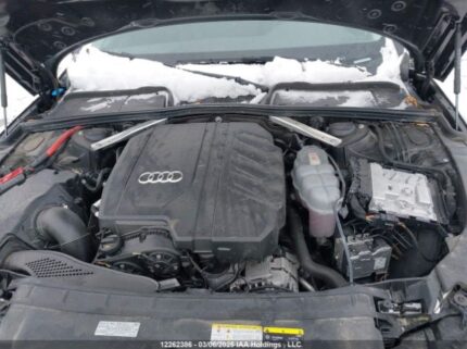 WAUAAAF40RN005729 2024 AUDI