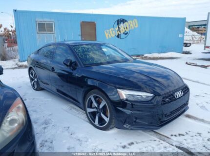 WAUAACF59RA103234 2024 AUDI