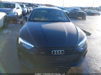 WAUAACF59RA103234 2024 AUDI