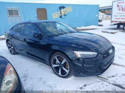 WAUAACF59RA103234 2024 AUDI