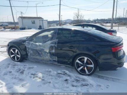WAUAACF59RA103234 2024 AUDI