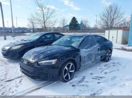 WAUAACF59RA103234 2024 AUDI