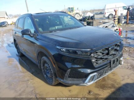 2HKRS6H90RH218852 2024 HONDA