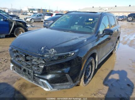 2HKRS6H90RH218852 2024 HONDA