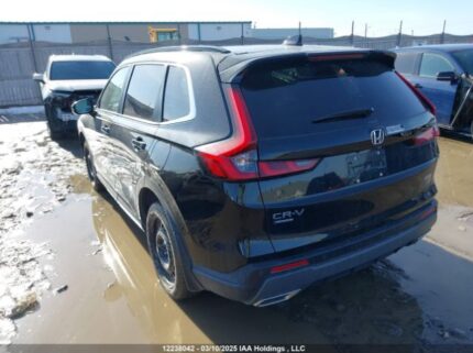 2HKRS6H90RH218852 2024 HONDA