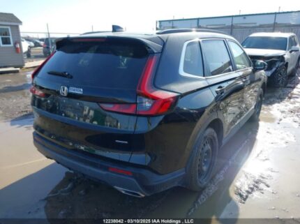 2HKRS6H90RH218852 2024 HONDA
