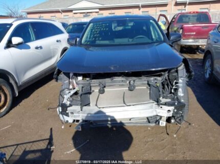 2T3B1RFV2RC440325 2024 TOYOTA