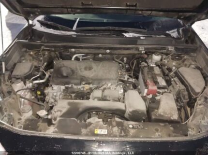 2T3B1RFV3NW303824 2022 TOYOTA